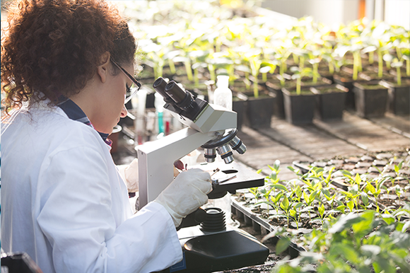 Environmental Research