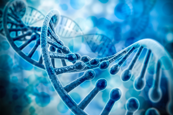 Life Science Research